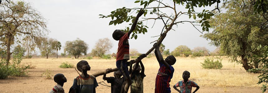 Kinderen klimmen in boom in Zuid-Soedan en willen bladeren plukken.